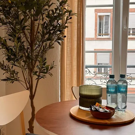 Le Strasbourgeois Ii Apartment *